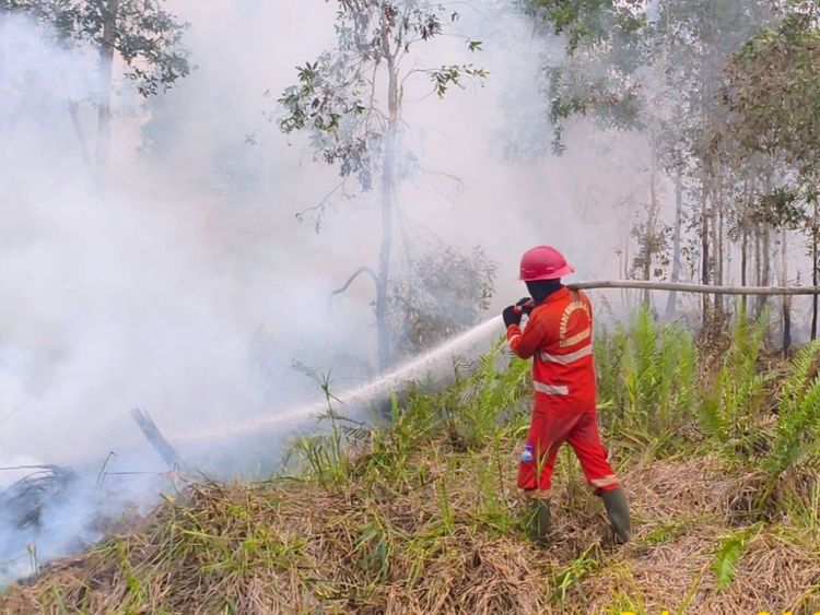 Hotspot Menurun, Kesiagaan Karhutla Tetap Dibutuhkan Warga