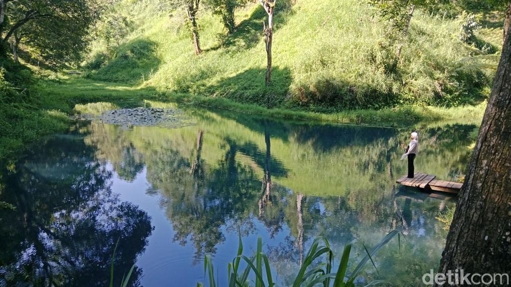 Telaga Biru, jeda yang tenang di antara pepohonan Rinjani